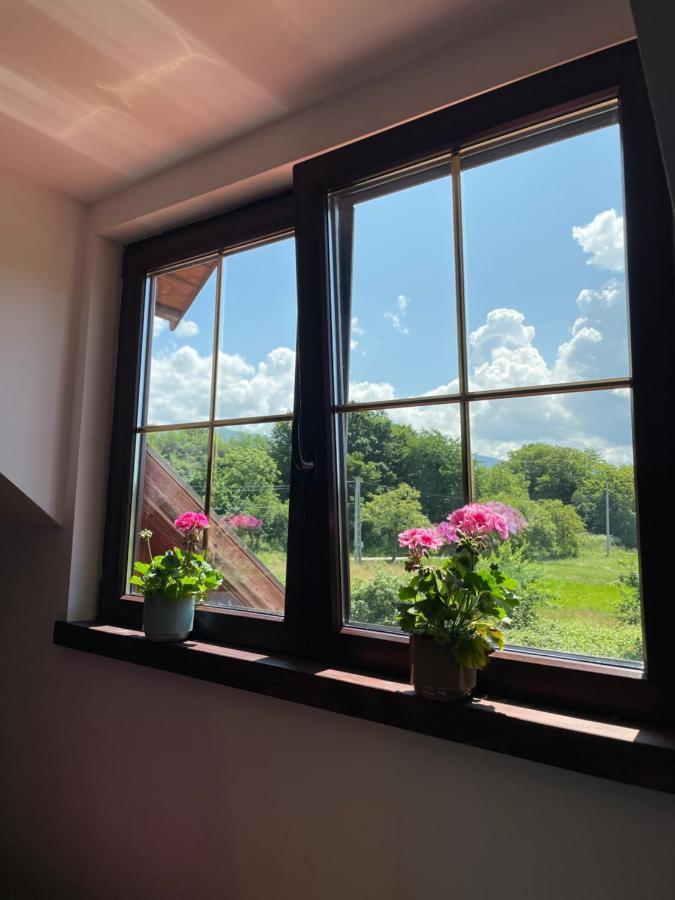 Hotel Casa La Doi Nuci Bradet  Zewnętrze zdjęcie